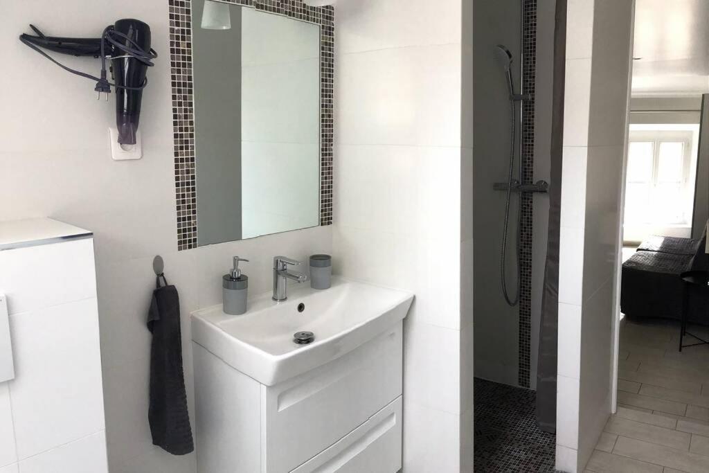 Duplex Bellifontain Au Coeur De Fontainebleau Apartment Екстериор снимка
